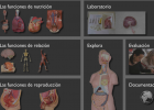 Nuestro cuerpo en un clic | Recurso educativo 34963