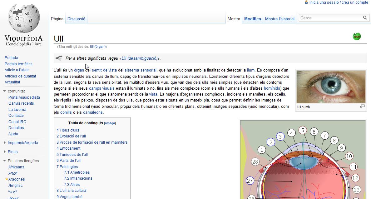 L'ull humà | Recurso educativo 35127