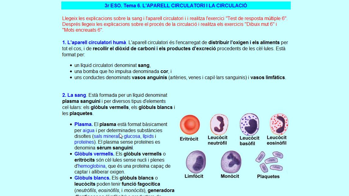 L’aparell circulatori | Recurso educativo 35426