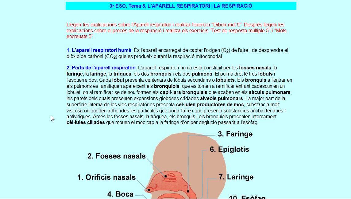 L’aparell respiratori | Recurso educativo 35445