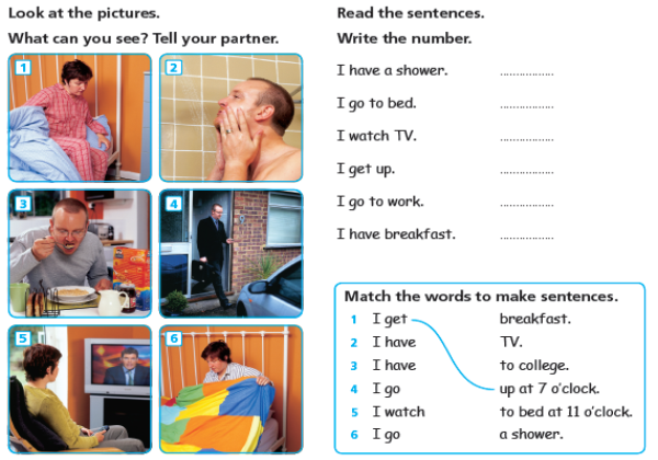 Daily routine | Recurso educativo 37742