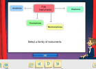 Folk instruments | Recurso educativo 39399