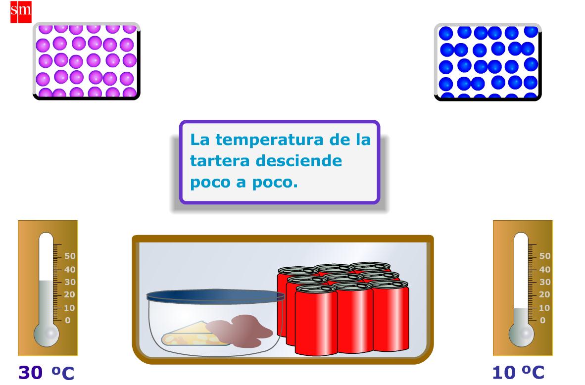 Temperatura de equilibrio | Recurso educativo 41556