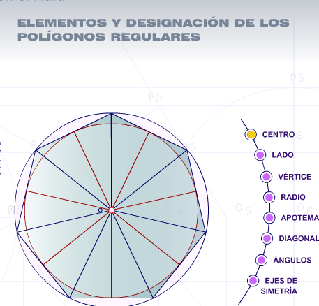 Elementos y designación de los polígonos regulares | Recurso educativo 41965