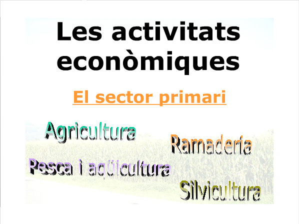 Sector Primari | Recurso educativo 42440