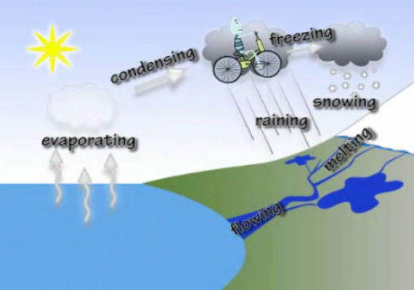 Song: The water cycle | Recurso educativo 42536