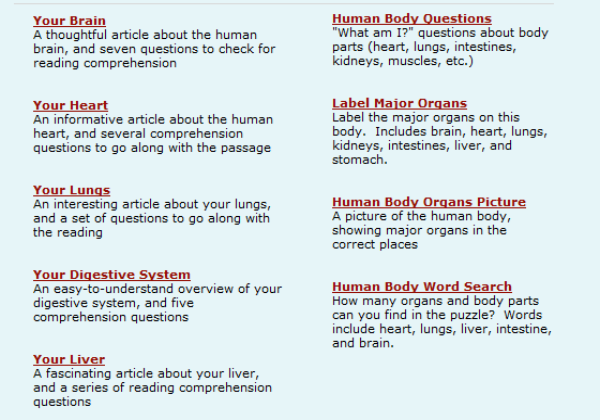 Website: Human body worksheets | Recurso educativo 42920