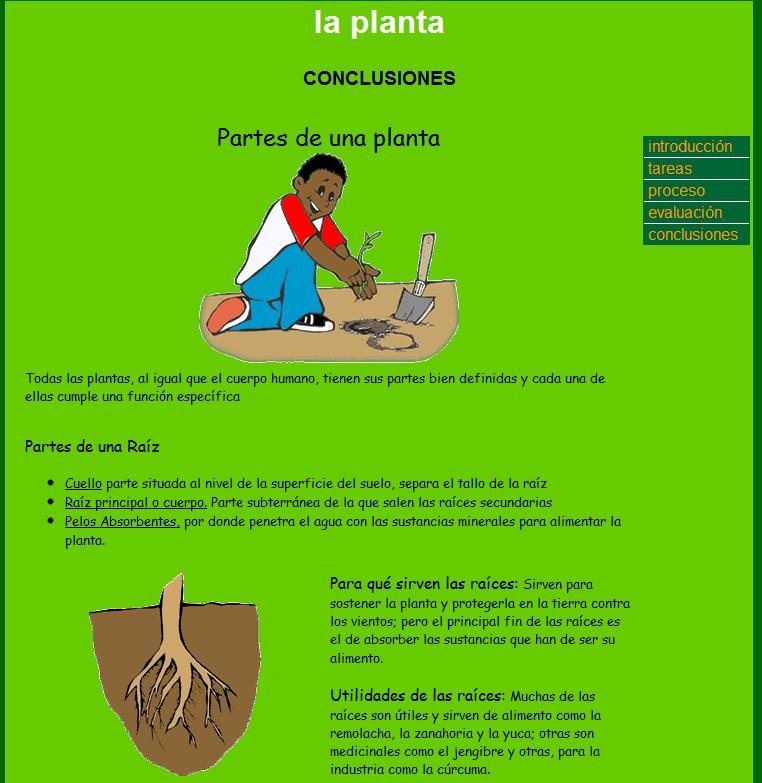 Partes de una planta | Recurso educativo 43242