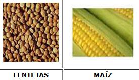 Legumbres y cereales | Recurso educativo 46712