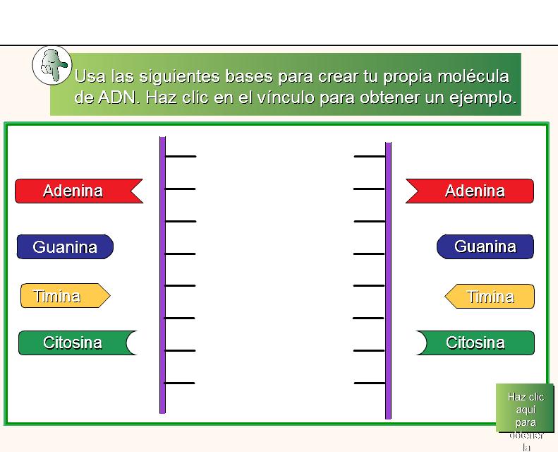 ¿Qué es un gen? | Recurso educativo 47425