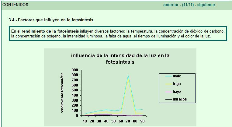 Factores de la fotosíntesis | Recurso educativo 47665