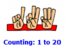 Counting (1 to 20) | Recurso educativo 48174