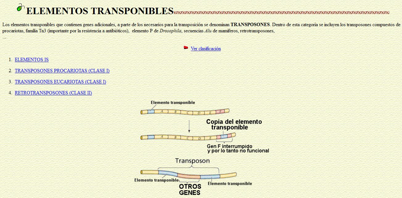 Elementos transponibles | Recurso educativo 49538