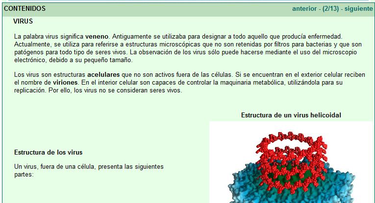 Los virus | Recurso educativo 49761