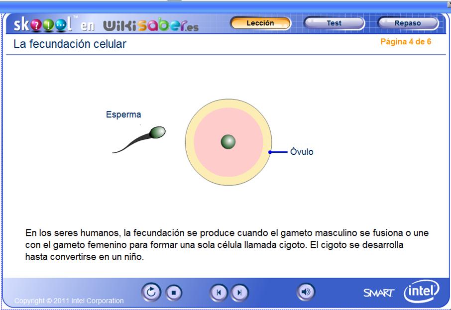 Fecundación celular | Recurso educativo 49902