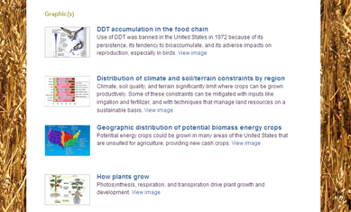 Ecology lab: Agriculture | Recurso educativo 50755