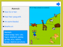 All sorts of animals | Recurso educativo 54798