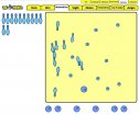 Contar jugando a los bolos | Recurso educativo 55968