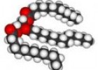Los acil-glicéridos | Recurso educativo 61645
