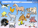 Domestic animals | Recurso educativo 61823