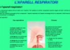 Text: L'aparell respiratori | Recurso educativo 10331