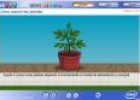 Cómo crecen las plantas | Recurso educativo 1166