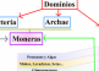 Clasificación de los invertebrados | Recurso educativo 13907