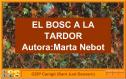 El bosc a la tardor | Recurso educativo 21355