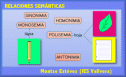 Relaciones semánticas | Recurso educativo 22130