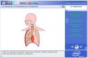 La respiración | Recurso educativo 2500
