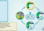 Cyclical Sequencer (Frog) | Recurso educativo 25488