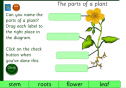 The parts of a plant | Recurso educativo 25652