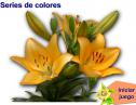 Series de colores | Recurso educativo 2951