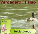 Naturales... verdadero o falso | Recurso educativo 2982