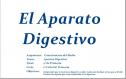 El aparato digestivo | Recurso educativo 32405