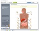 Aparato digestivo | Recurso educativo 72719