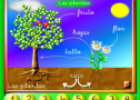 Las Plantas | Recurso educativo 72902