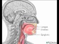 Deglución.mov | Recurso educativo 91838