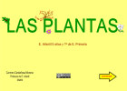 Las plantas | Recurso educativo 91889