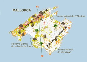 El bosque mediterraneo en las islas baleares | Recurso educativo 93081