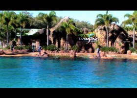 Sea World Imagine Dolphin Show | Recurso educativo 97379