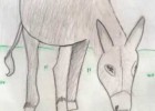 Platero y yo. Capítulo 1 | Recurso educativo 119585