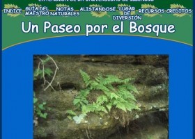 Un Paseo por el Bosque | Recurso educativo 120617