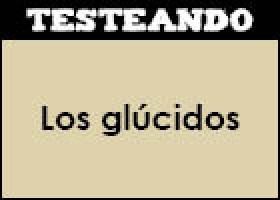 Los glúcidos | Recurso educativo 350891