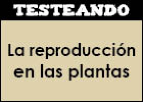 La reproducción en las plantas | Recurso educativo 351722