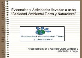 Actividades del "Taller Sociedad Ambiental Tierra y Naturaleza" | Recurso educativo 369100