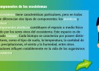 ¿Cuáles son los componentes de un ecosistema? | Recurso educativo 680494