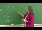 ¿Qué es la Filosofía? (Pepi Patrón) [PUCP] | Recurso educativo 684560