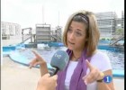 Delfinoterapia en el Oceanogràfic de Valencia | Recurso educativo 688781