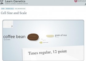 Cell Size and Scale | Recurso educativo 723850